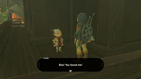 playtime with cottla botw